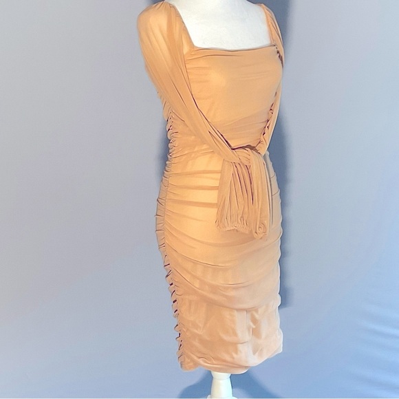 Fashion Sz Sm, Sheer Mesh, Nude, Ruched Long Sleeve Dress, Deep Square Neckline - Picture 16 of 16